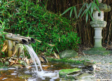 Les Jardins Aquatiques