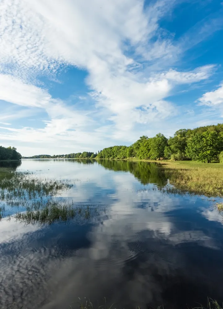 Le lac de Bouzey