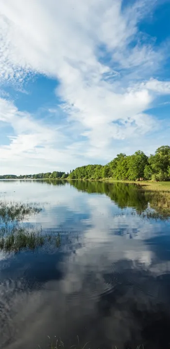 Le lac de Bouzey