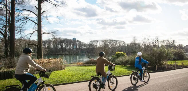 Activité de plein air à Lyon : visiter le parc de la Tête d'Or à vélo