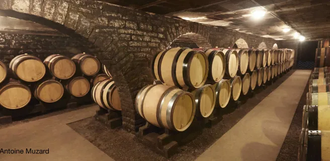 Besancenot