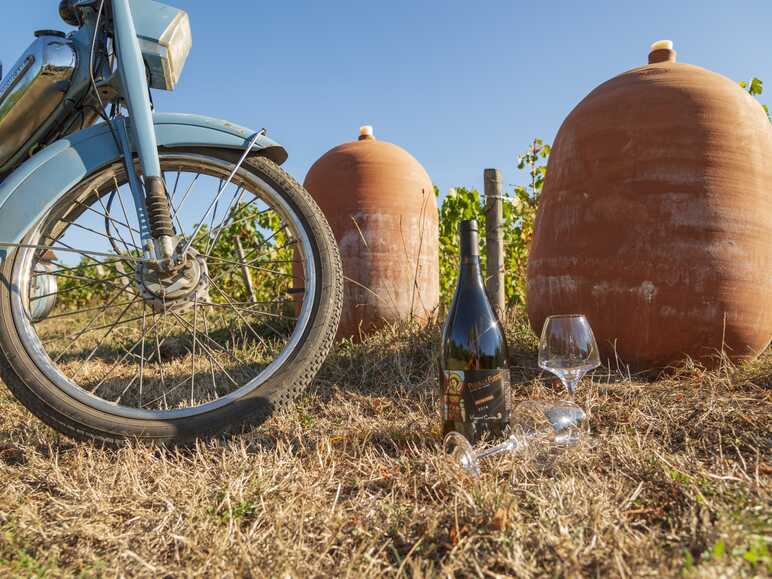 Le vignoble du Mâconnais